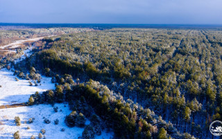 Володимир Зеленський підписав указ про вилучення земельних ділянок уздовж кордону у Чорнобильського заповідника