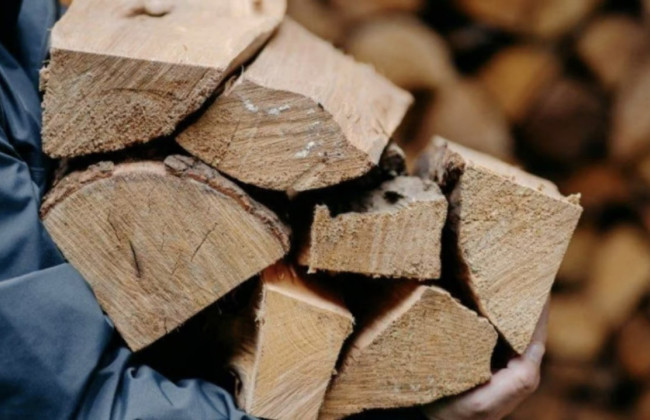Субсидії на дрова та вугілля – як отримати допомогу на опалення
