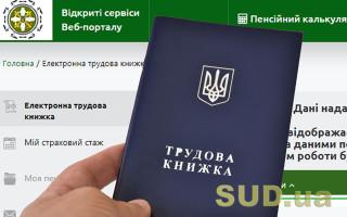 Витяг з електронної трудової книжки — як сформувати документ онлайн