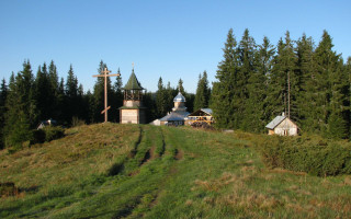 На Прикарпатье мужчина угнал автомобиль, чтобы привезти в монастырь козу — как его наказал суд