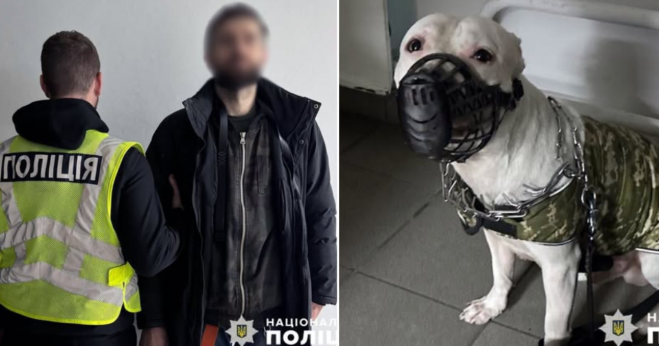 У чоловіка, який побив свого пса у Києві, поліція вилучила тварину та відкрила справу
