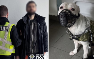 У чоловіка, який побив свого пса у Києві, поліція вилучила тварину та відкрила справу
