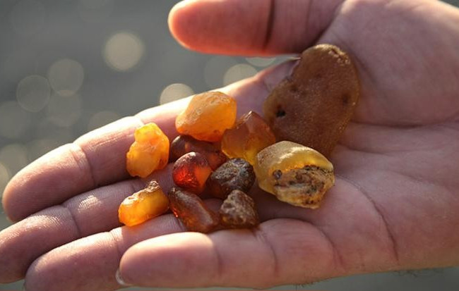 В Ровенской области за добычу янтаря на территории заповедника молодой человек получил тюремный срок