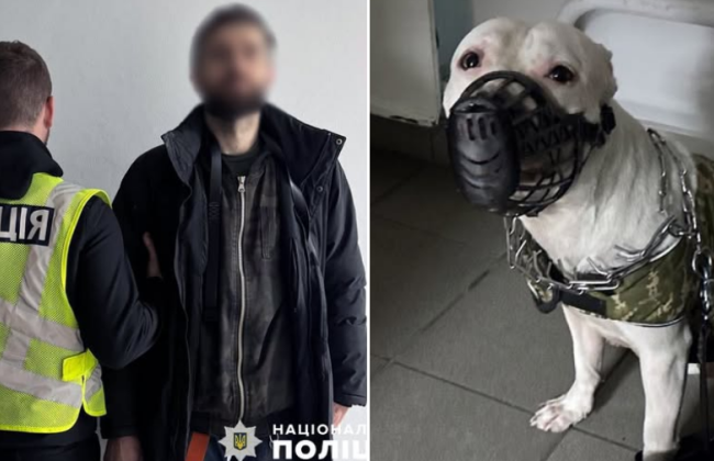 У чоловіка, який побив свого пса у Києві, поліція вилучила тварину та відкрила справу
