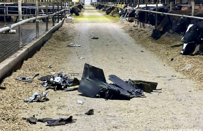 Россия атаковала дронами ферму на Черниговщине – погибли животные