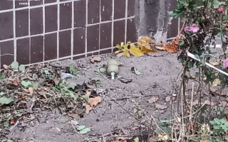 У Києві чоловік виявив схожий на гранату предмет, який валявся біля квітів, фото