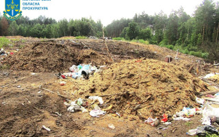 У Житомирській області лісгосп забруднив відходами 1,5 га землі і має відшкодувати понад 1 млн грн збитків