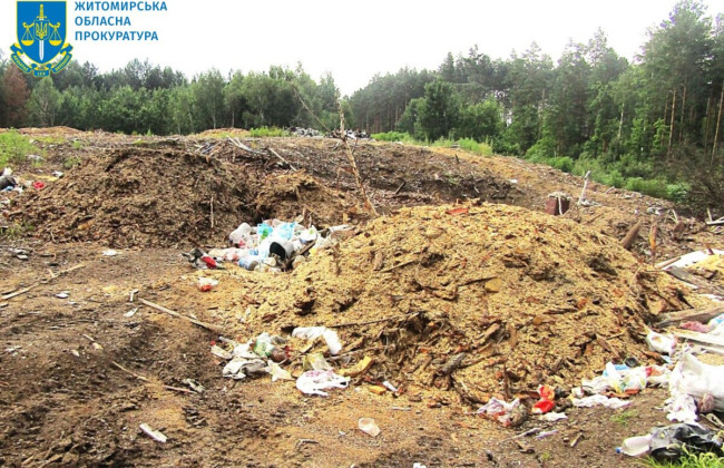 В Житомирской области лесхоз загрязнил отходами 1,5 га земли и должен возместить более 1 млн грн убытков