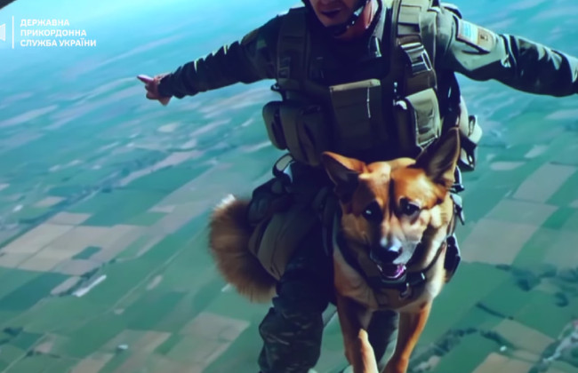 В Украине во второй раз наградили собак-героев и их кинологов