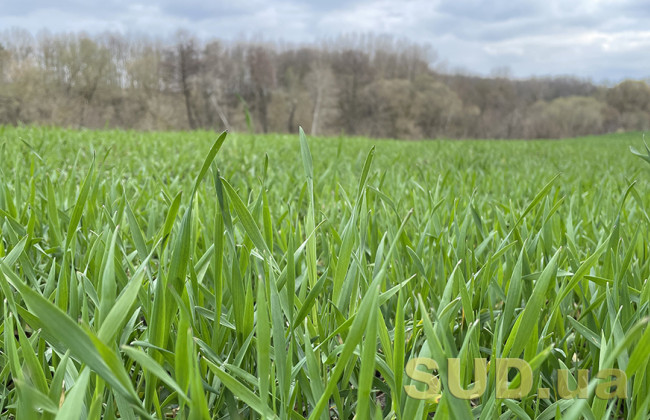 Верховная Рада приняла закон о государственном регулировании сферы защиты растений - что он предусматривает