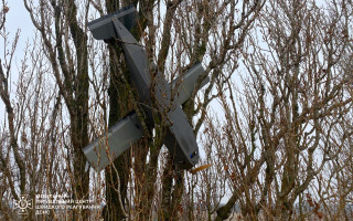 На Київщині російський дрон зачепився в деревах