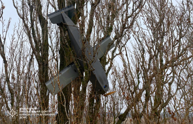 На Киевщине российский дрон зацепился в деревьях