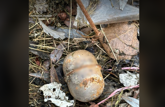 В Святошинском районе Киева мужчина нашел гранату во время прогулки