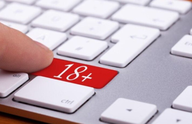 Раде рекомендуют принять за основу законопроект о декриминализации съемки и распространении видео для взрослых