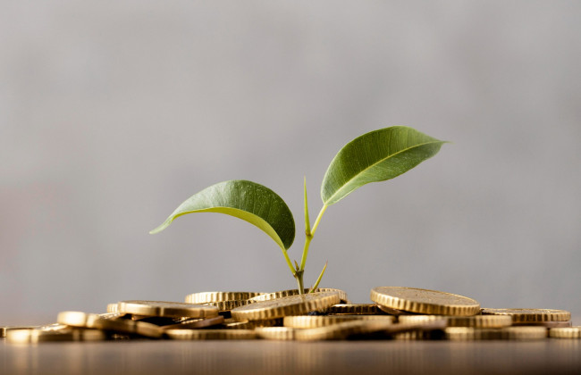 В этом году 10 600 украинцев получат от государства 2,6 млрд грн на развитие бизнеса