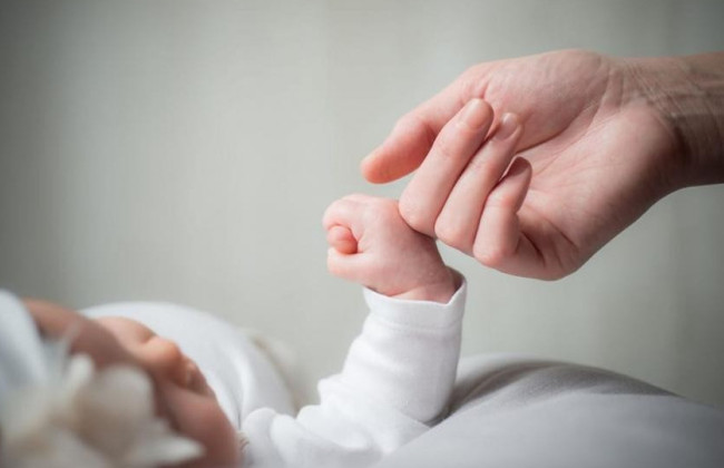 Истец оспаривал отцовство, но от предоставления биологических образцов для проведения генетической экспертизы отказался - чем все закончилось