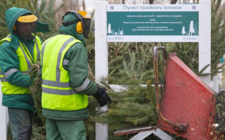 З 2 січня в Києві запрацюють 78 пунктів прийому новорічних дерев — перелік адрес