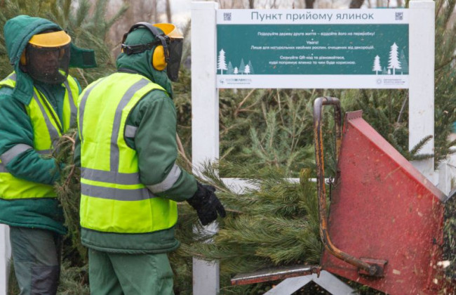 Со 2 января в Киеве заработают 78 пунктов приема новогодних деревьев — список адресов