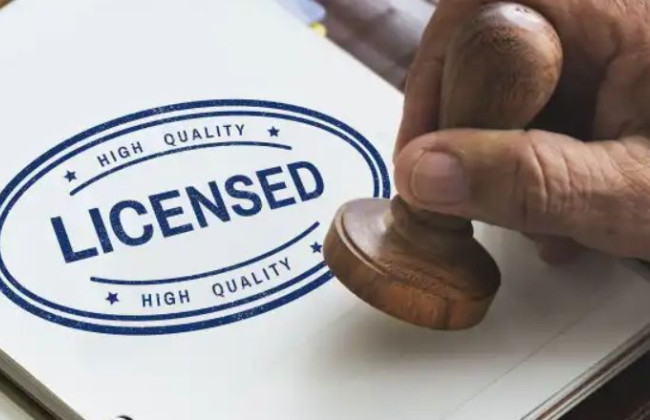 Кабмин утвердил перечень квот и товаров, подлежащих лицензированию на 2025 год