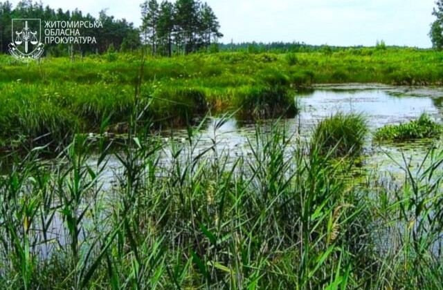 В Житомирской области государству вернули земли гидрологического заказника, которые незаконно передали в частную собственность