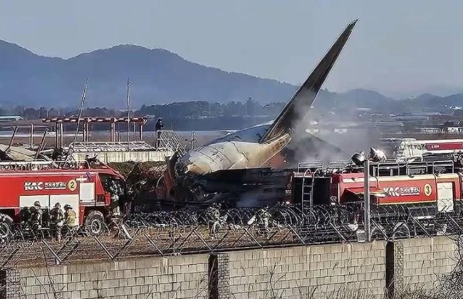 В Южной Корее обнаружили тела всех 179 жертв авиакатастрофы