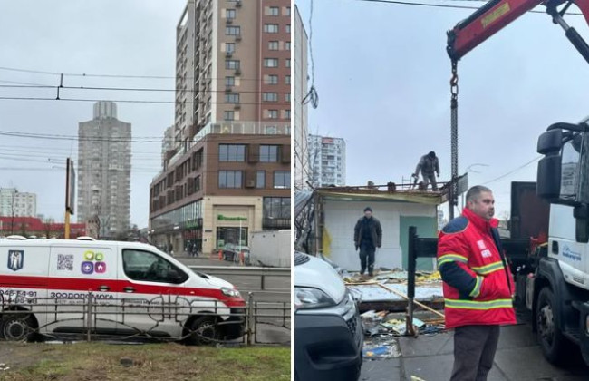 В Киеве во время демонтажа МАФа обнаружили ежика в спячке — что сделали с животным
