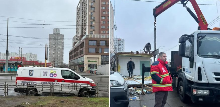 В Киеве во время демонтажа МАФа обнаружили ежика в спячке — что сделали с животным