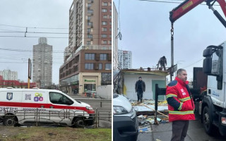 У Києві під час демонтажу МАФу виявили їжачка в сплячці — що зробили з твариною