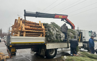 У Києві демонтують незаконні ялинкові ярмарки – прибрали уже майже 30 точок, фото