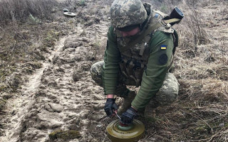 В Украине за 2024 год разминировано более 252 тысяч гектаров территории