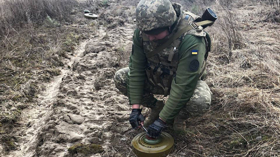 В Украине за 2024 год разминировано более 252 тысяч гектаров территории