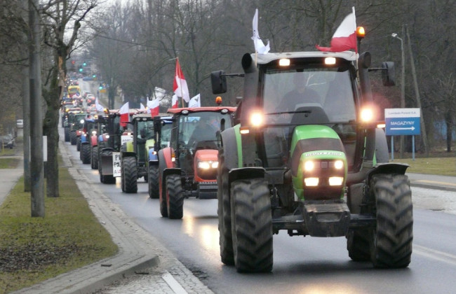 Польские фермеры планируют масштабную акцию протеста против политики ЕС и импорта из Украины
