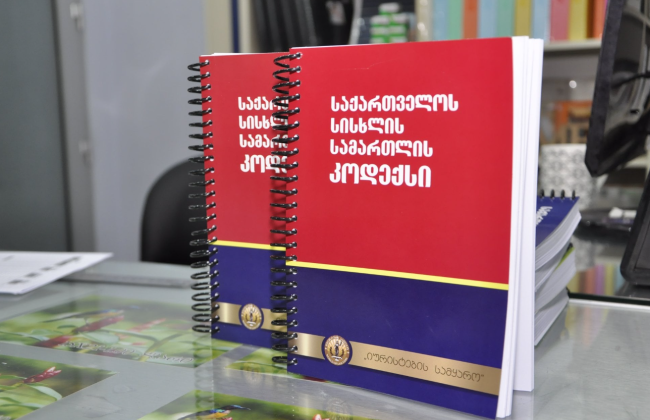 «Незрозуміло, яким чином суд розібрався у змісті апеляційної скарги, викладеної грузинською мовою» – Верховний Суд скасував рішення апеляційного суду