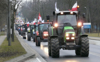 Польські фермери планують масштабну акцію протесту проти політики ЄС та імпорту з України