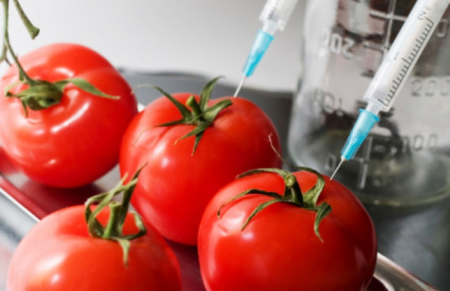 Президент ратифицировал поправки к Орхусской конвенции относительно ГМО