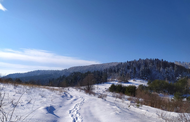 Правительство изменило назначение земель в Винницкой области для сохранения природы
