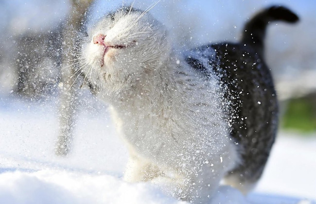 На Крещение 6 января в Украине прогнозируют небольшой мокрый снег и дождь