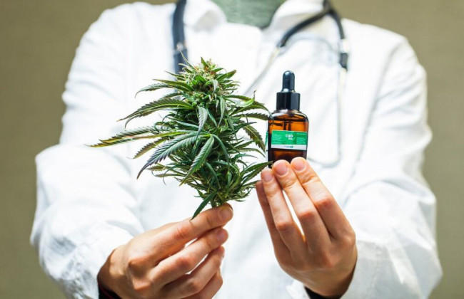В Україні зареєстрували перші ліки на основі медичного канабісу