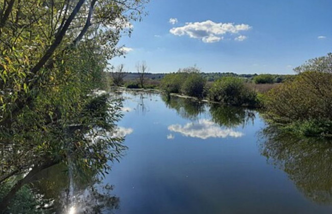 Суд вернул в собственность государства почти 33 га земель природно-заповедного фонда в Тернопольской области