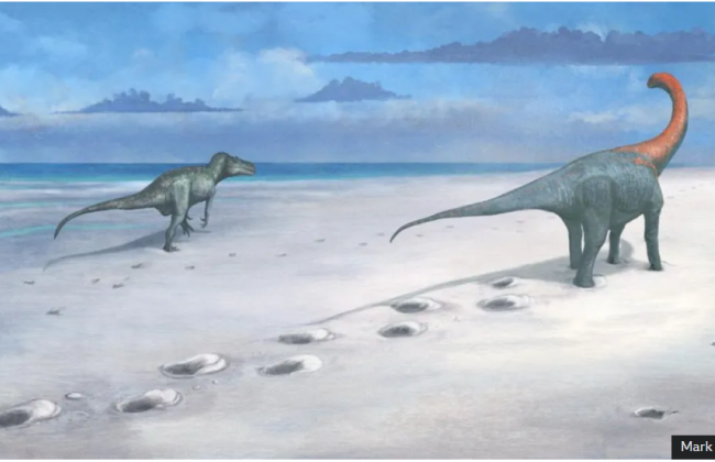 Исследователи нашли целое поле со следами динозавров всего лишь в 15 километрах от Оксфорда, фото