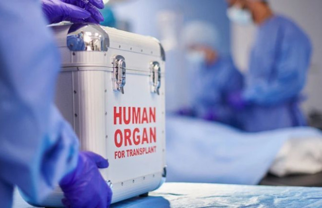 Верховна Рада заборонила вилучення анатомічних матеріалів у загиблих внаслідок бойових дій