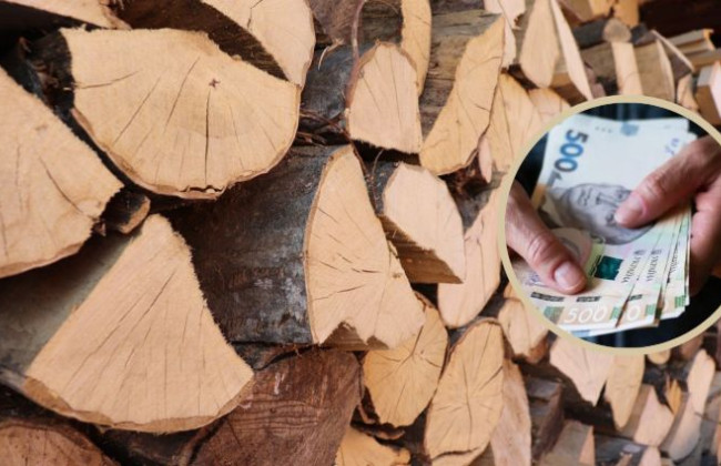 В Пенсионном фонде разъяснили вопросы субсидии на твердое топливо