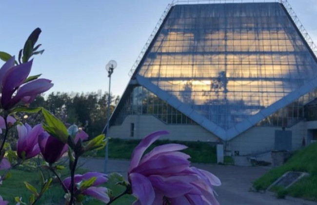 Начальник КМВА Тимур Ткаченко відреагував на ситуацію із землею ботсаду Гришка, яку передали під забудову