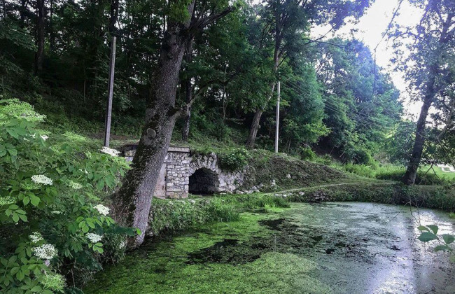 В Хмельницкой области общину через суд обязали определить границы достопримечательности паркового искусства