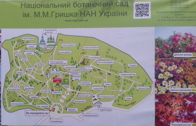 Киев просит Правительство вмешаться в ситуацию с застройкой Национального ботсада Гришко