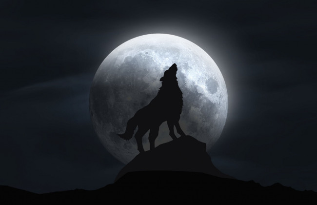 «Вовчий Місяць» поглине Марс – перше дивовижне астрономічне явище 2025 року