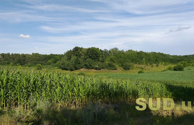Визначено коефіцієнт індексації нормативної грошової оцінки земель за 2024 рік