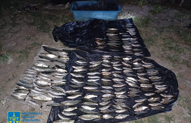 В Николаеве будут судить браконьера, наловившего рыбы на 420 тысяч гривен