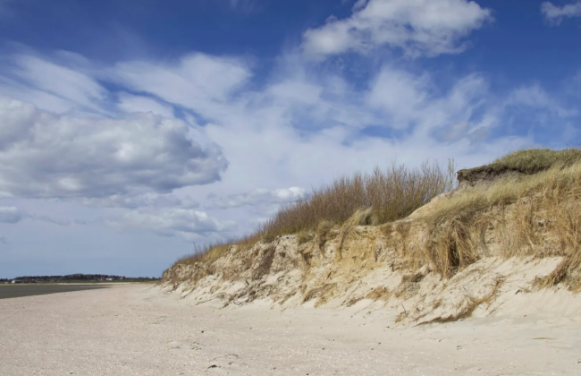 На пляжах трех немецких островов обнаружили кокаин на 10 млн евро, но откуда он – неизвестно