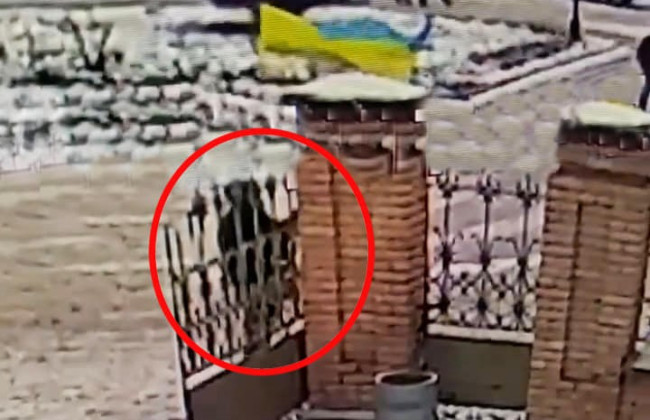 Полиция ищет свидетелей надругательства над флагом Украины в Белой Церкви